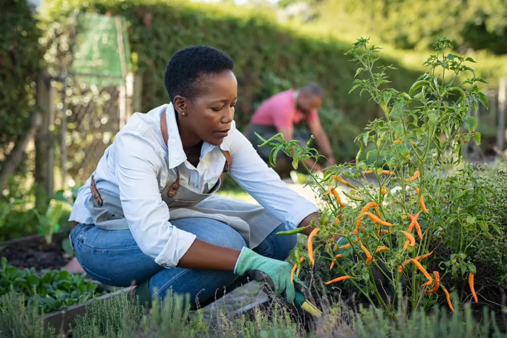 7 Tips for Gardening with Arthritis