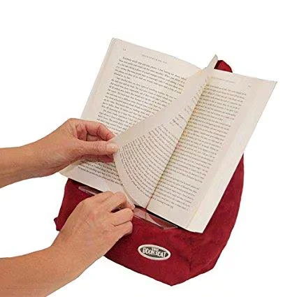 Arthritis Christmas Wishlist Book Seat Holder